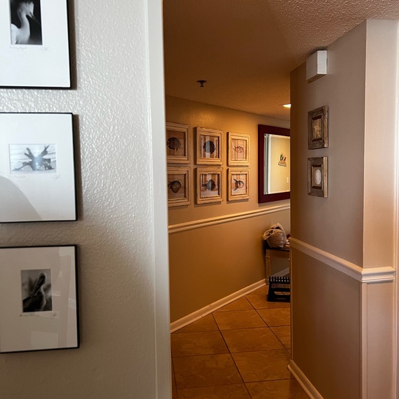 Meet your Posher, Syyd - Picture 4 of 4